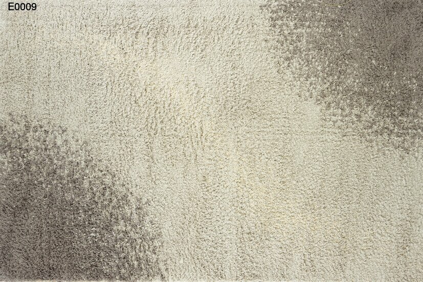 e0009