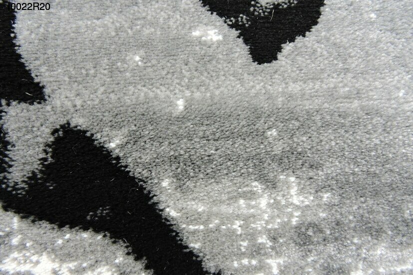 i0022r20