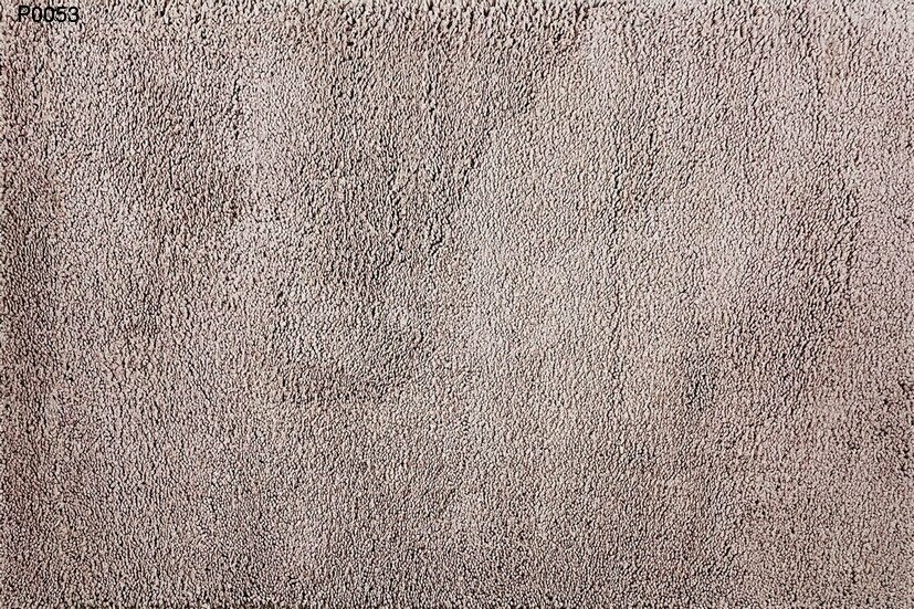 p0053